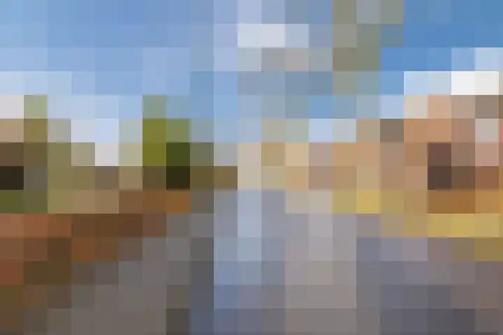 Europalaan-Zuid 115 Budel thumbnail 40