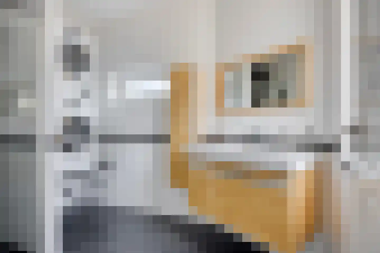 Europaplein 10 Elst thumbnail 18