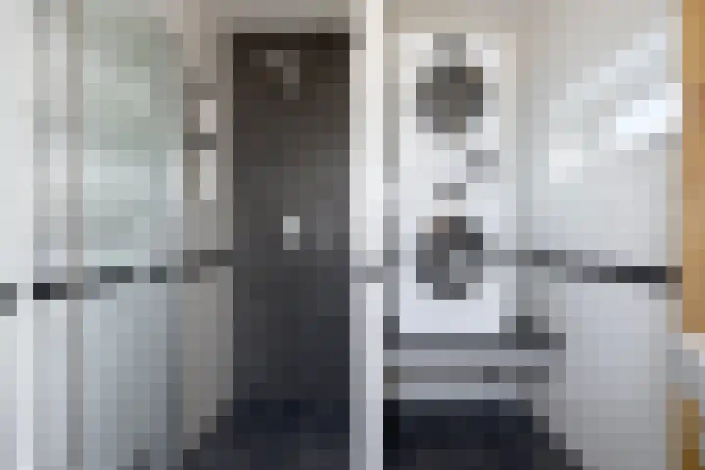 Europaplein 10 Elst thumbnail 19