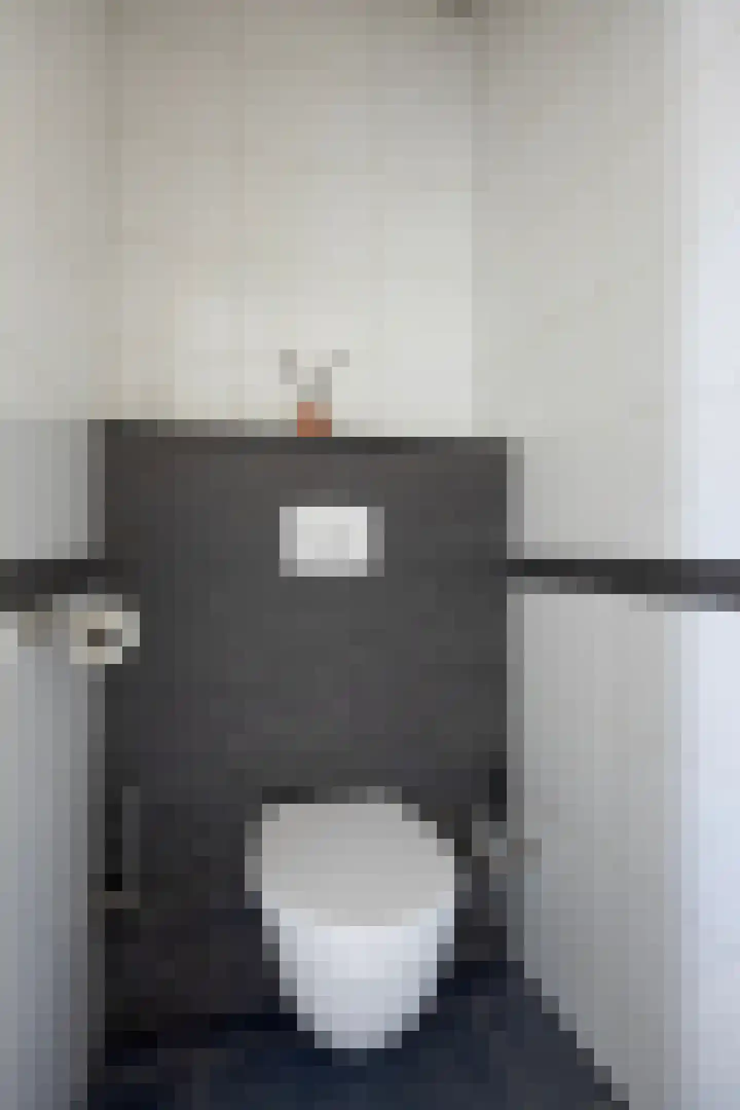 Europaplein 10 Elst thumbnail 20