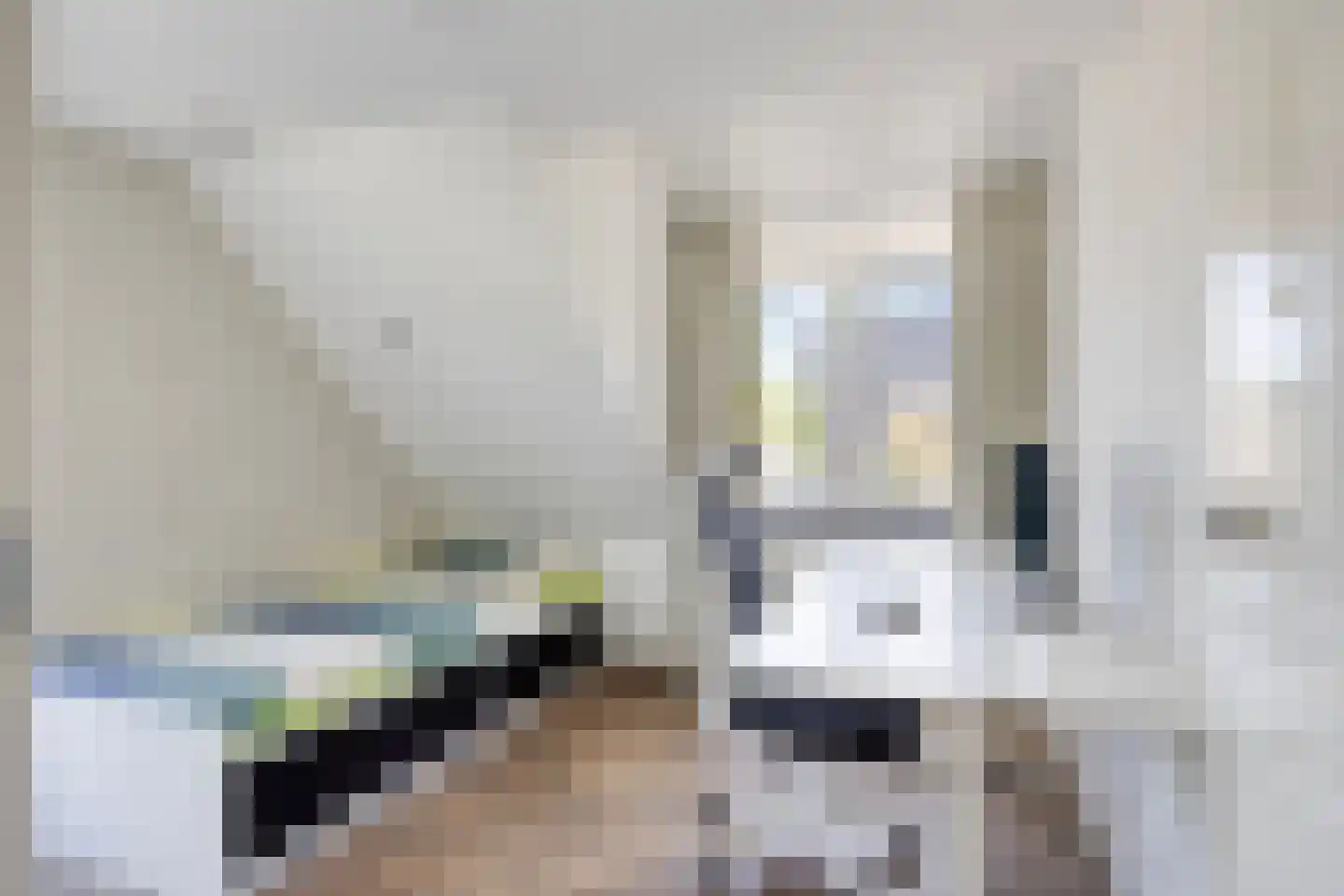 Europaplein 10 Elst thumbnail 23