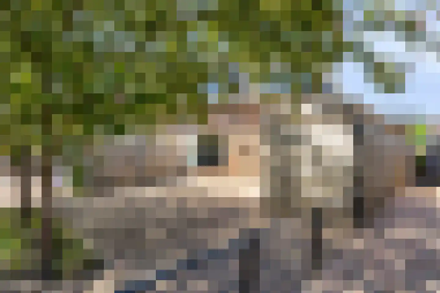Europaplein 10 Elst thumbnail 30