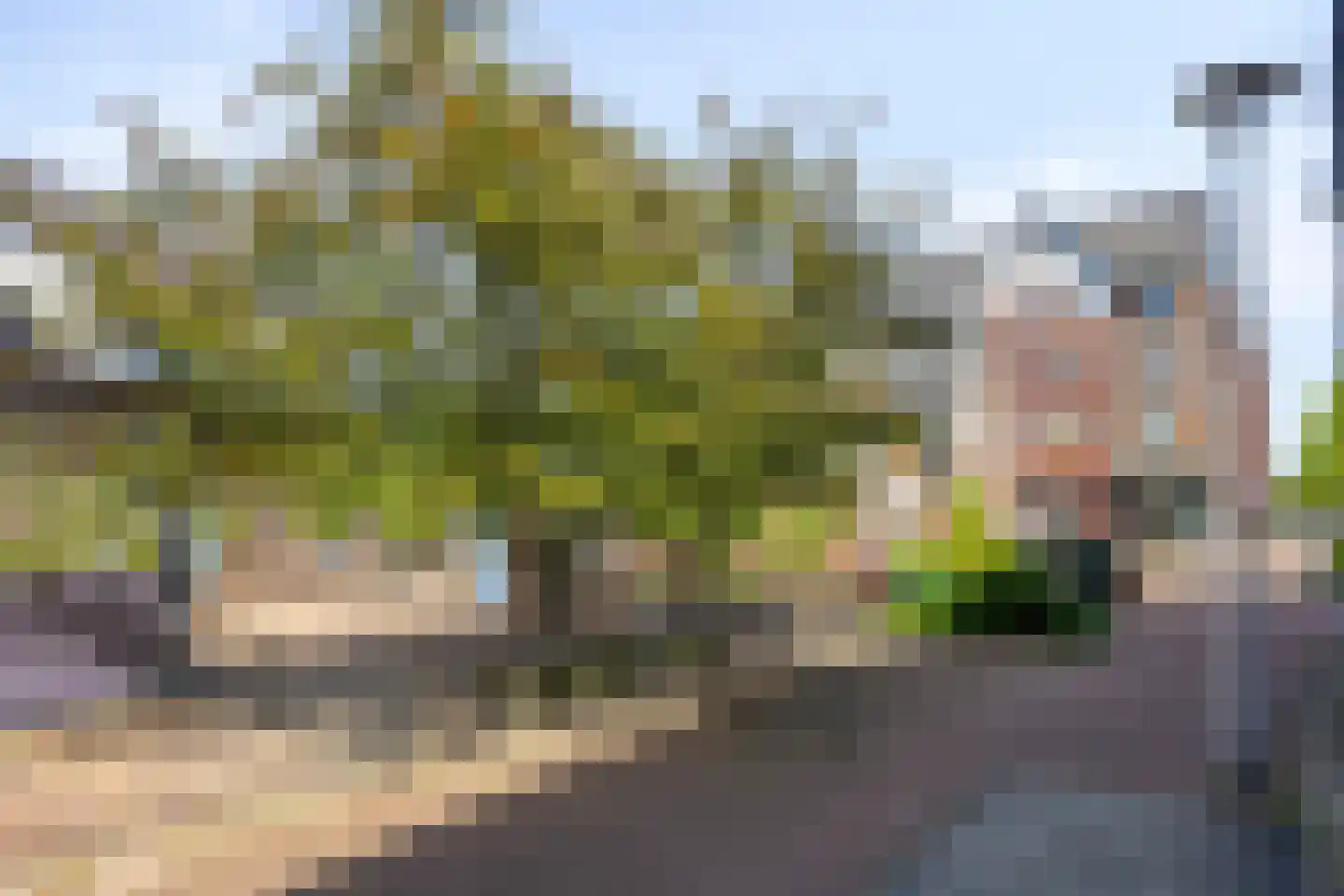 Europaplein 10 Elst thumbnail 33