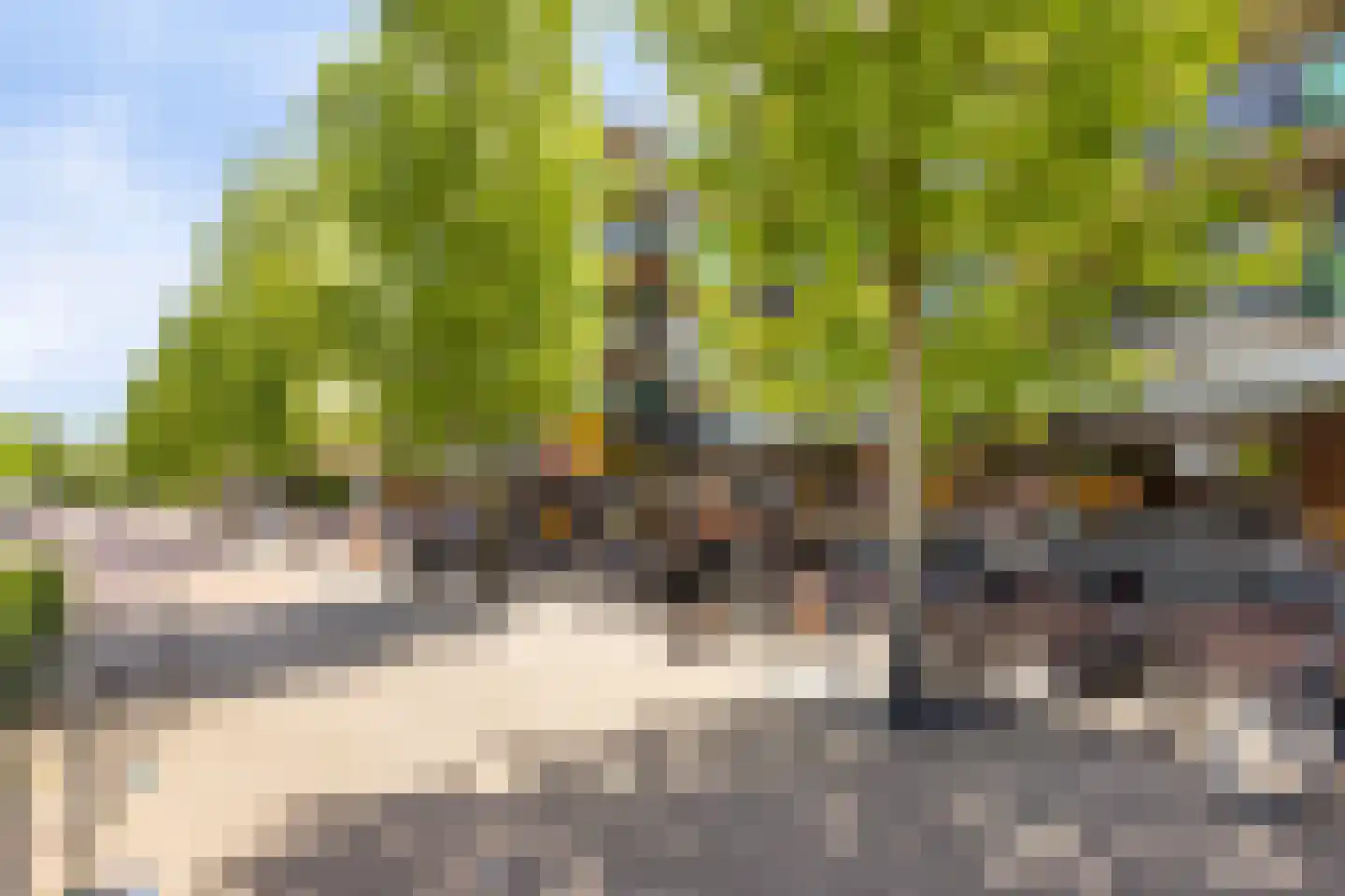 Europaplein 10 Elst thumbnail 35