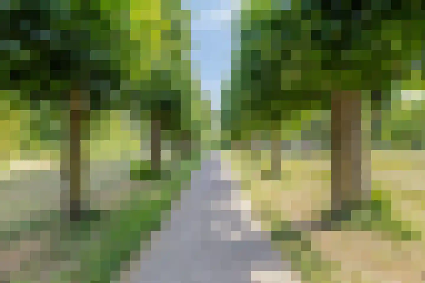 Europaplein 10 Elst thumbnail 36