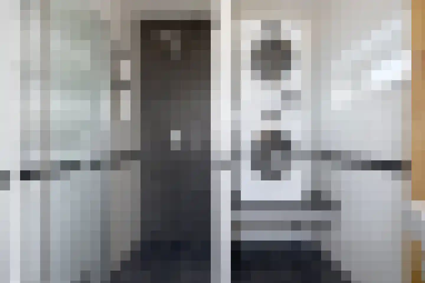 Europaplein 10 Elst thumbnail 4