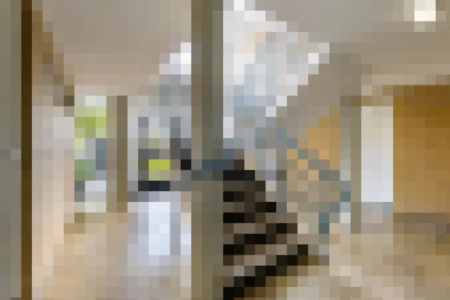Europaplein 10 g Leeuwarden thumbnail 17