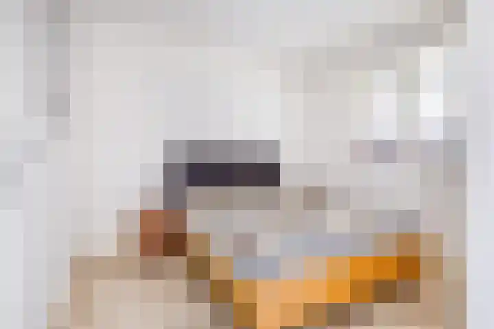 Europaplein 1053 Utrecht thumbnail 16