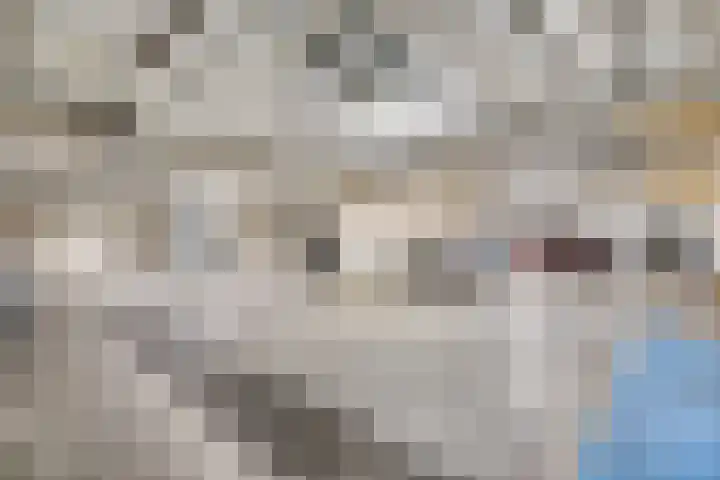 Europaplein 1053 Utrecht thumbnail 25