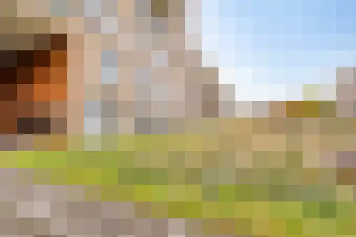 Europaplein 1053 Utrecht thumbnail 30