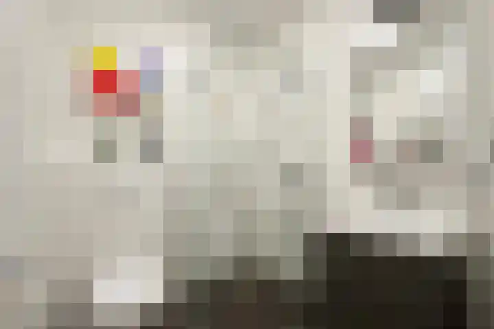 Europaplein 1075 Utrecht thumbnail 13