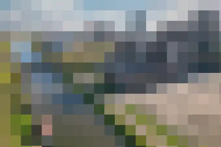Europaplein 1075 Utrecht thumbnail 25
