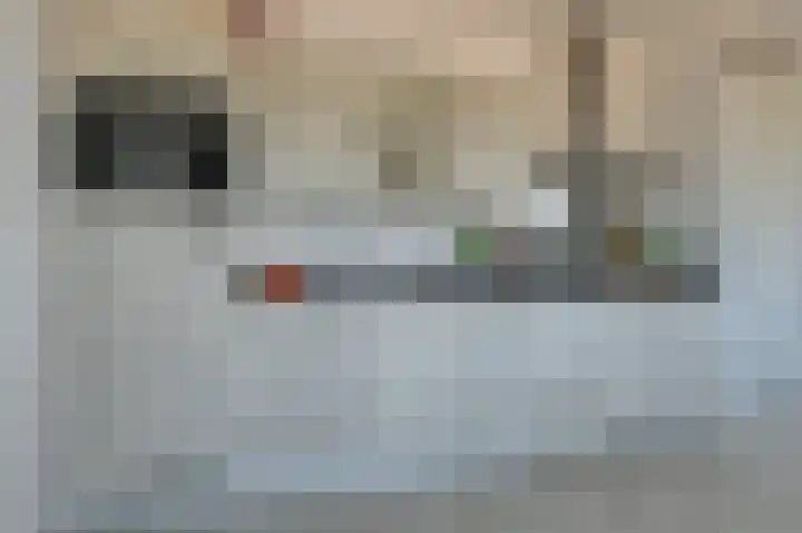 Europaplein 1075 Utrecht thumbnail 6