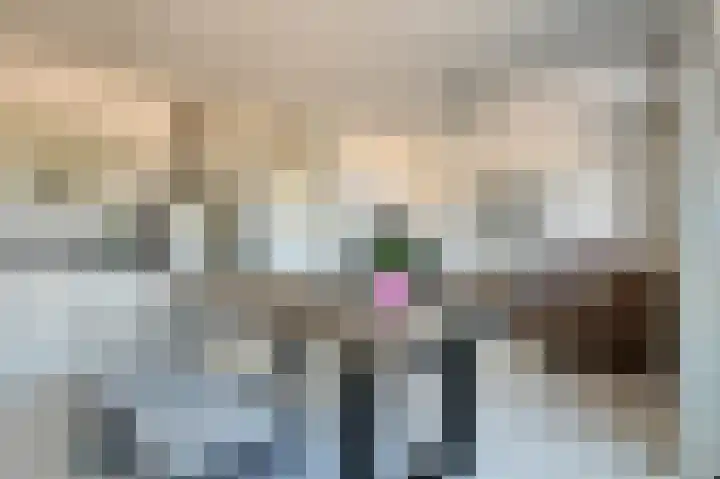 Europaplein 1075 Utrecht thumbnail 9