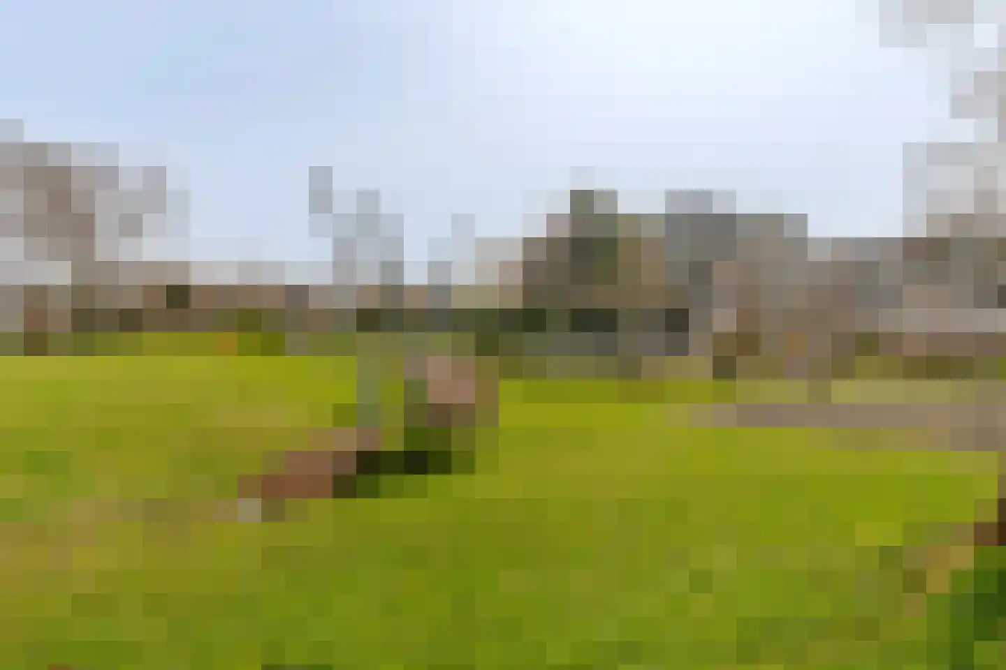 Europaplein 108 Heemskerk thumbnail 23