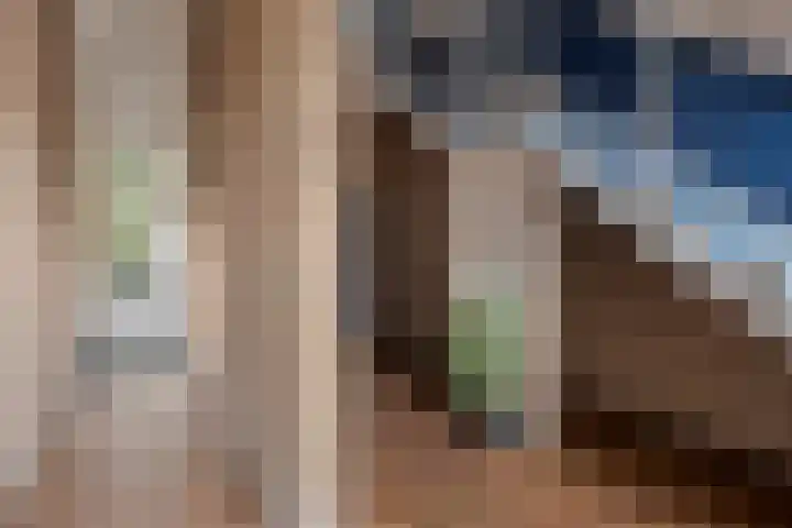Europaplein 11 Wijchen thumbnail 15