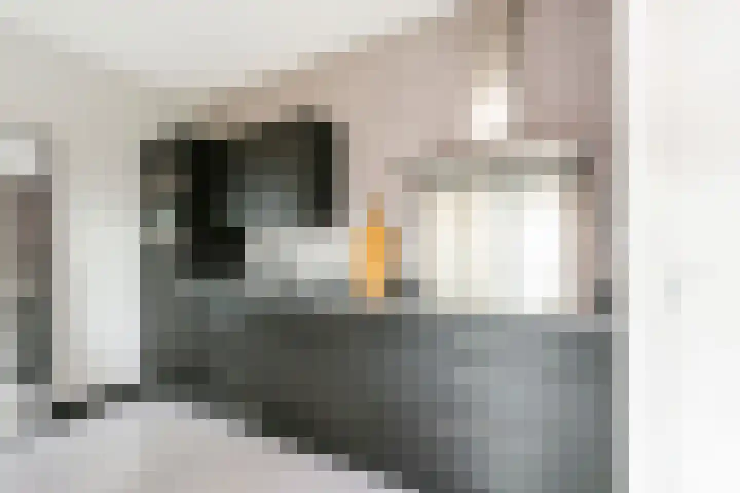 Europaplein 1105 Utrecht thumbnail 8