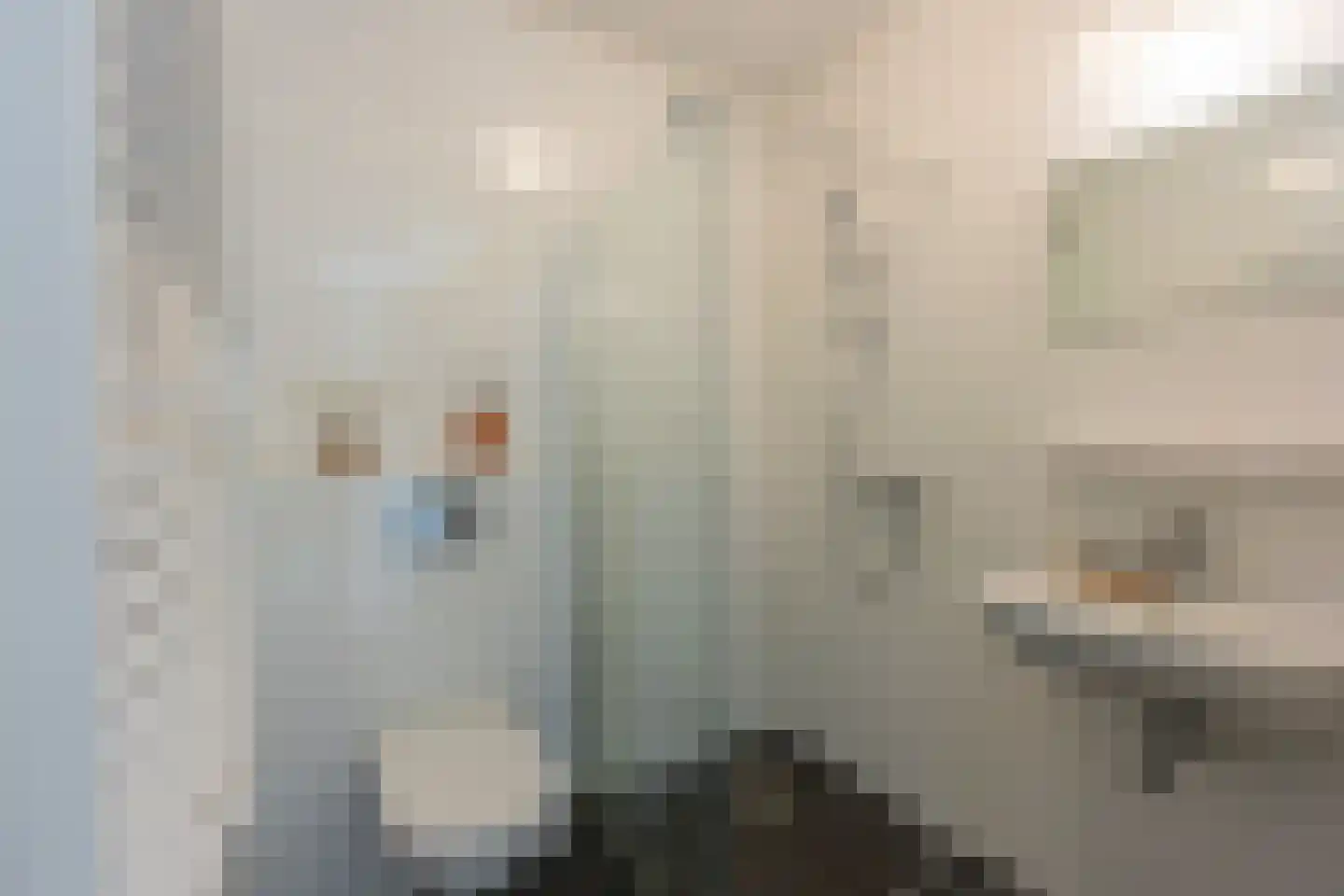 Europaplein 1108 Utrecht thumbnail 21