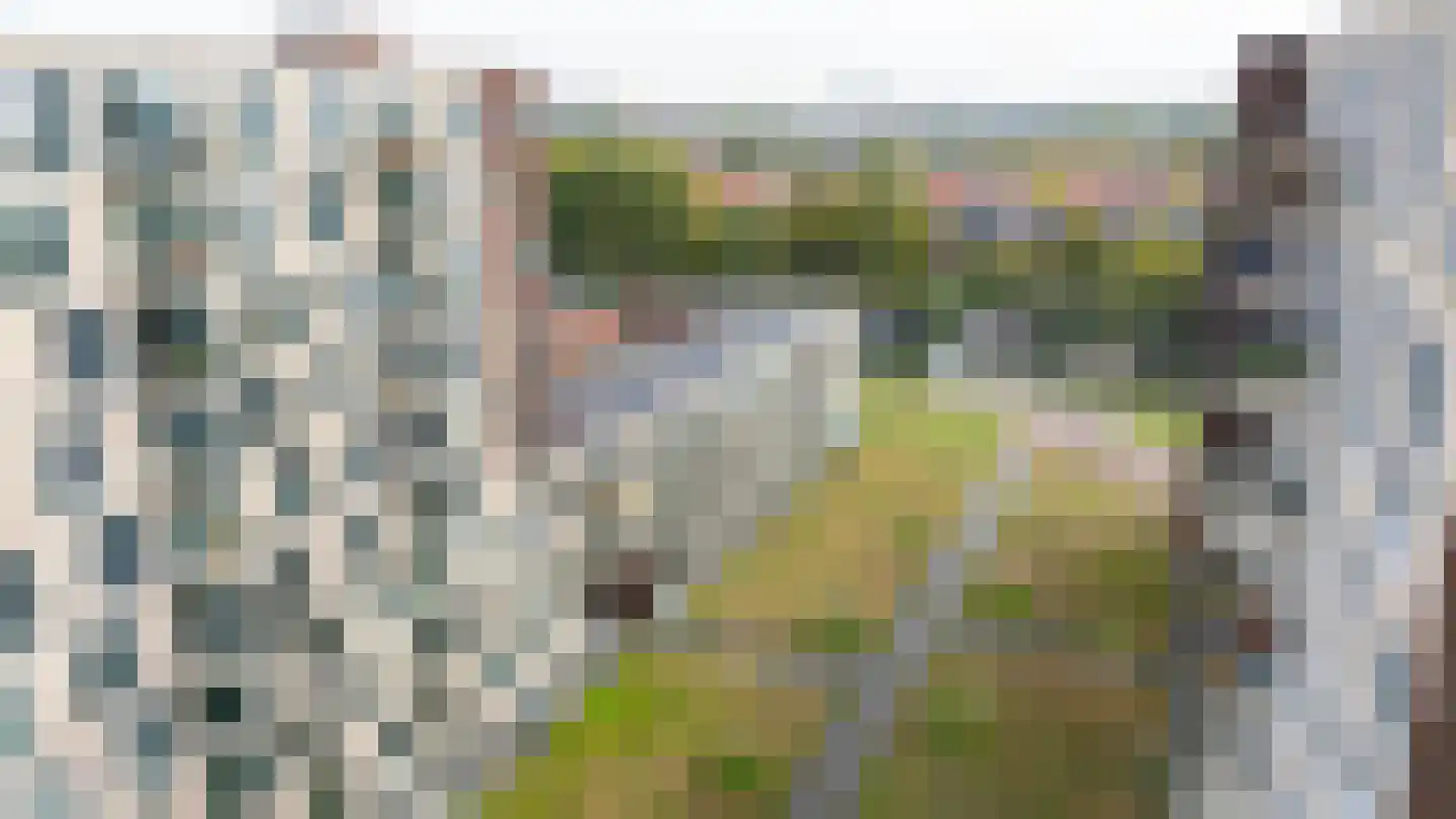 Europaplein 1108 Utrecht thumbnail 29