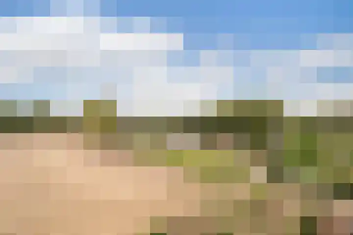 Europaplein 1122 Utrecht thumbnail 10