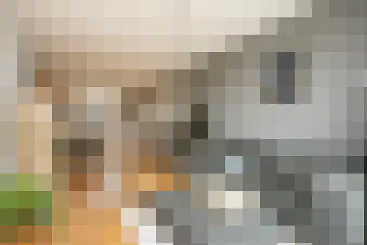 Europaplein 1122 Utrecht thumbnail 11