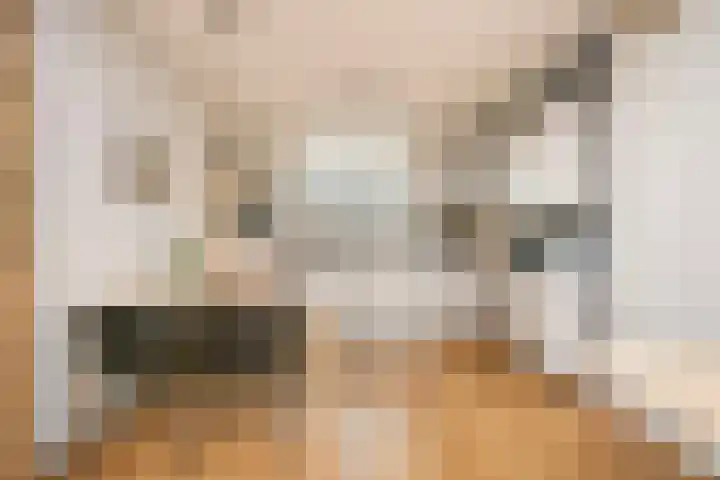Europaplein 1122 Utrecht thumbnail 12