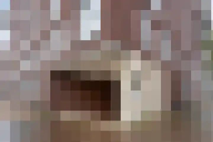 Europaplein 1122 Utrecht thumbnail 18