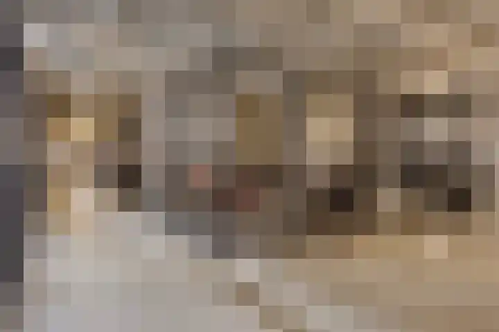 Europaplein 1122 Utrecht thumbnail 20