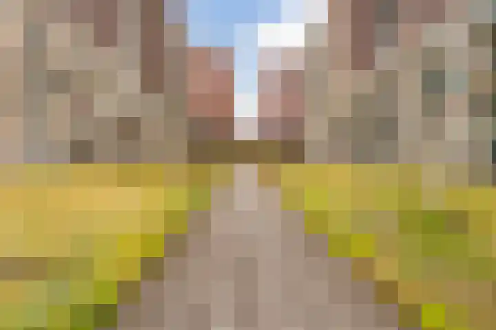 Europaplein 1122 Utrecht thumbnail 24