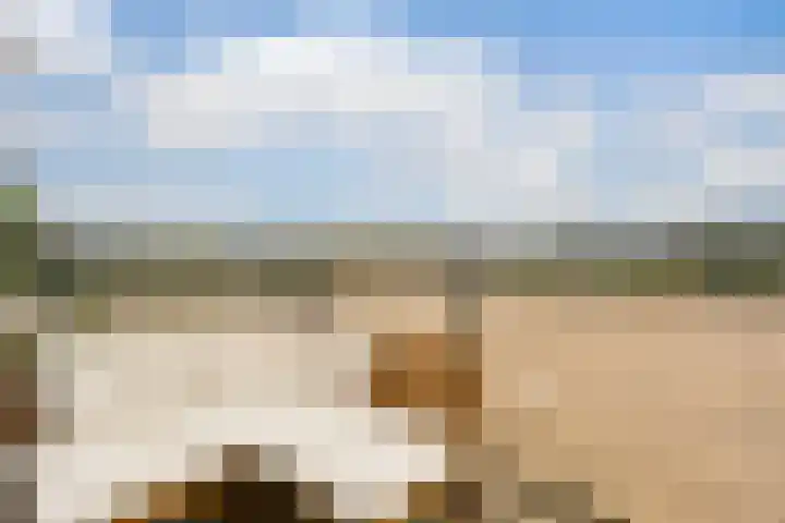 Europaplein 1122 Utrecht thumbnail 9