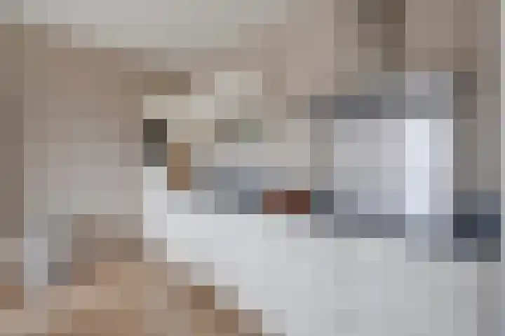 Europaplein 1130 Utrecht thumbnail 16