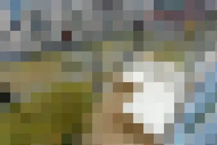 Europaplein 1130 Utrecht thumbnail 21