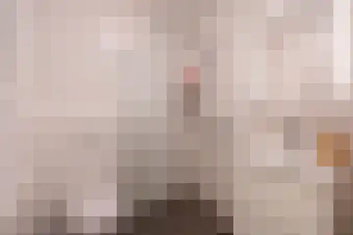 Europaplein 1130 Utrecht thumbnail 28