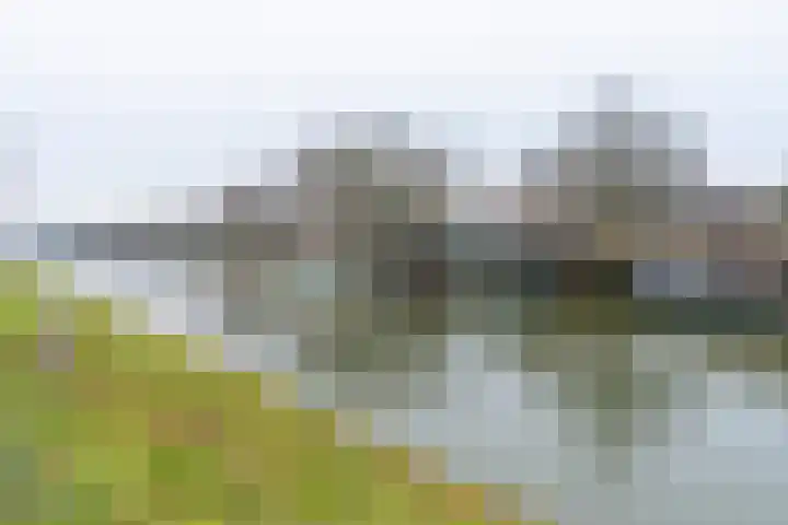 Europaplein 1130 Utrecht thumbnail 37