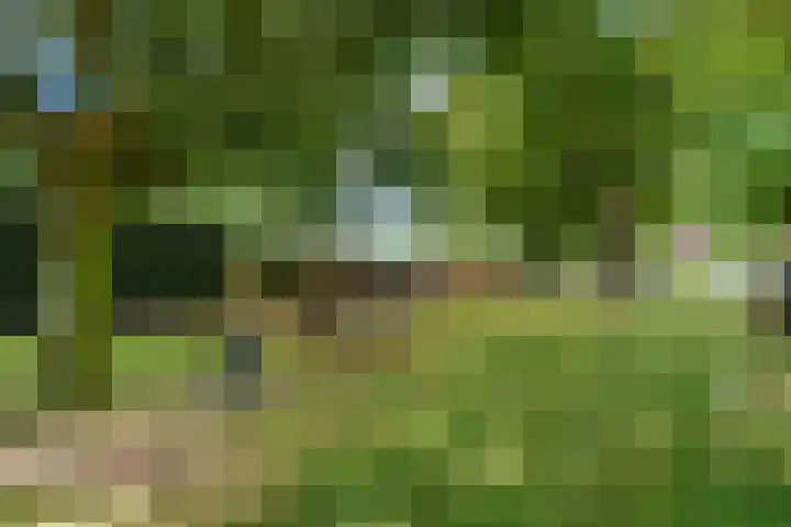 Europaplein 1130 Utrecht thumbnail 40