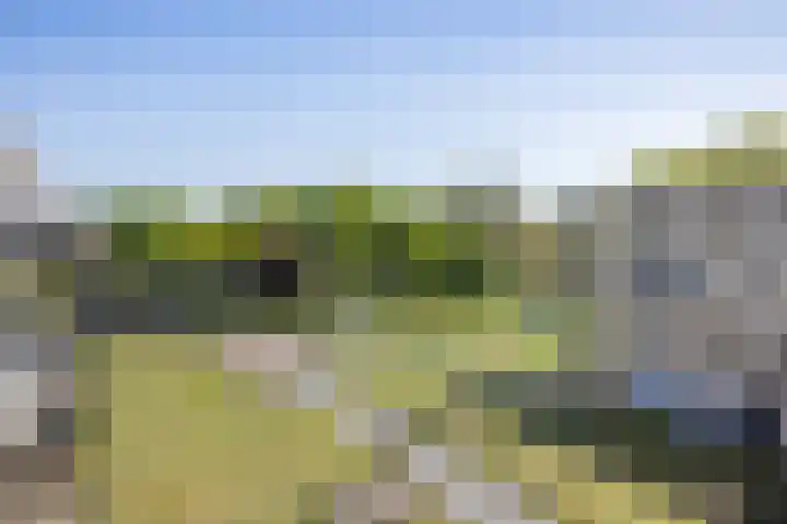 Europaplein 1133 Utrecht thumbnail 18