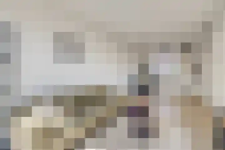 Europaplein 1133 Utrecht thumbnail 19