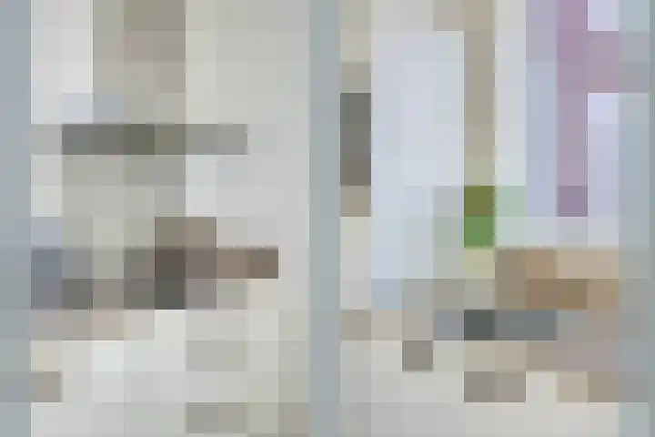 Europaplein 1133 Utrecht thumbnail 22