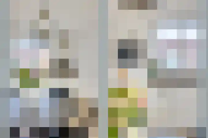 Europaplein 1133 Utrecht thumbnail 24