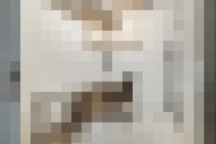 Europaplein 1133 Utrecht thumbnail 33