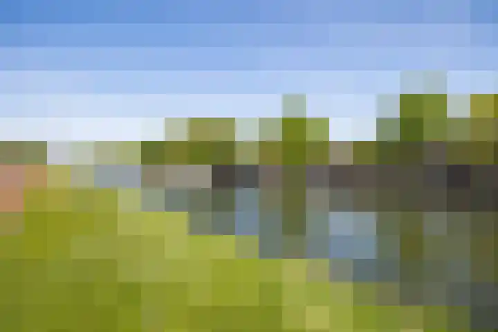 Europaplein 1133 Utrecht thumbnail 41