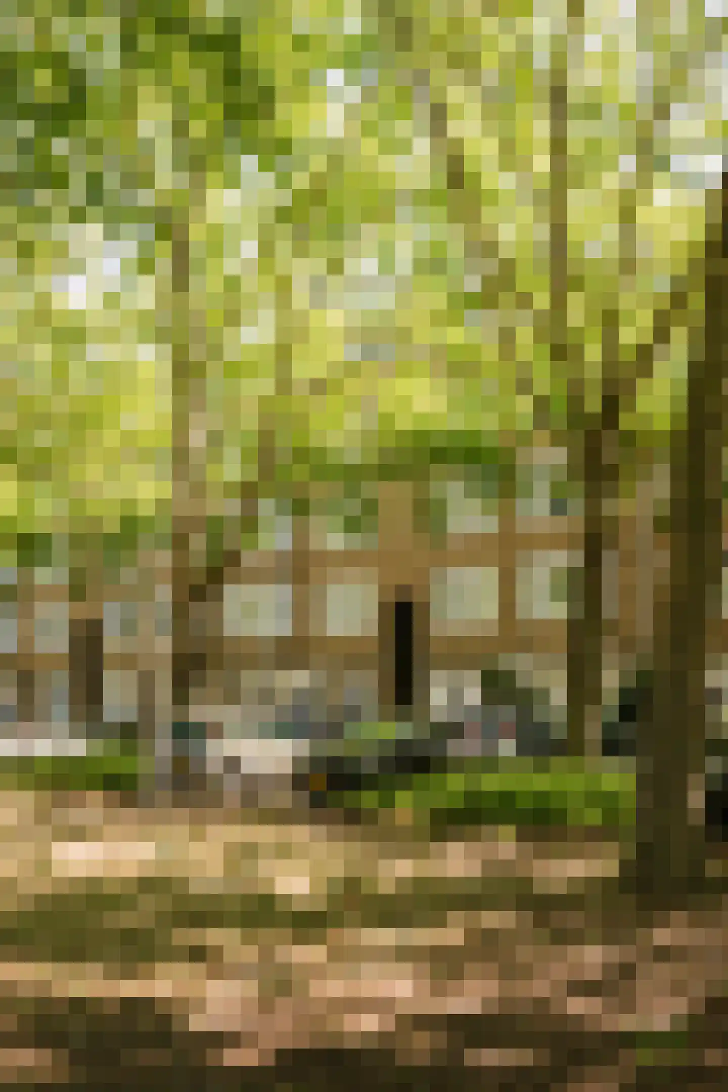Europaplein 123 3 Amsterdam thumbnail 36