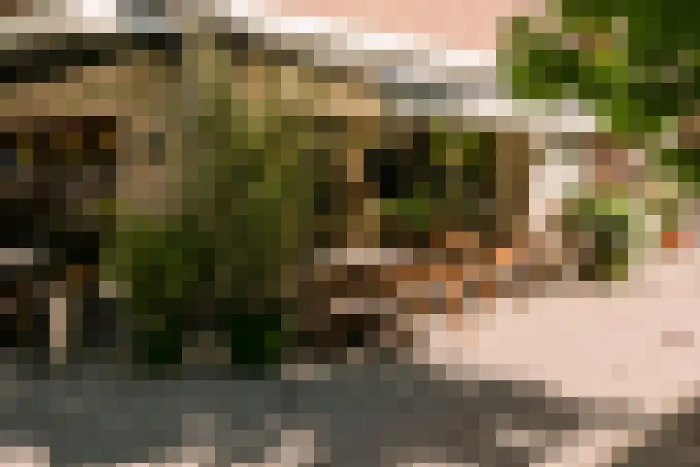 Europaplein 123 3 Amsterdam thumbnail 38