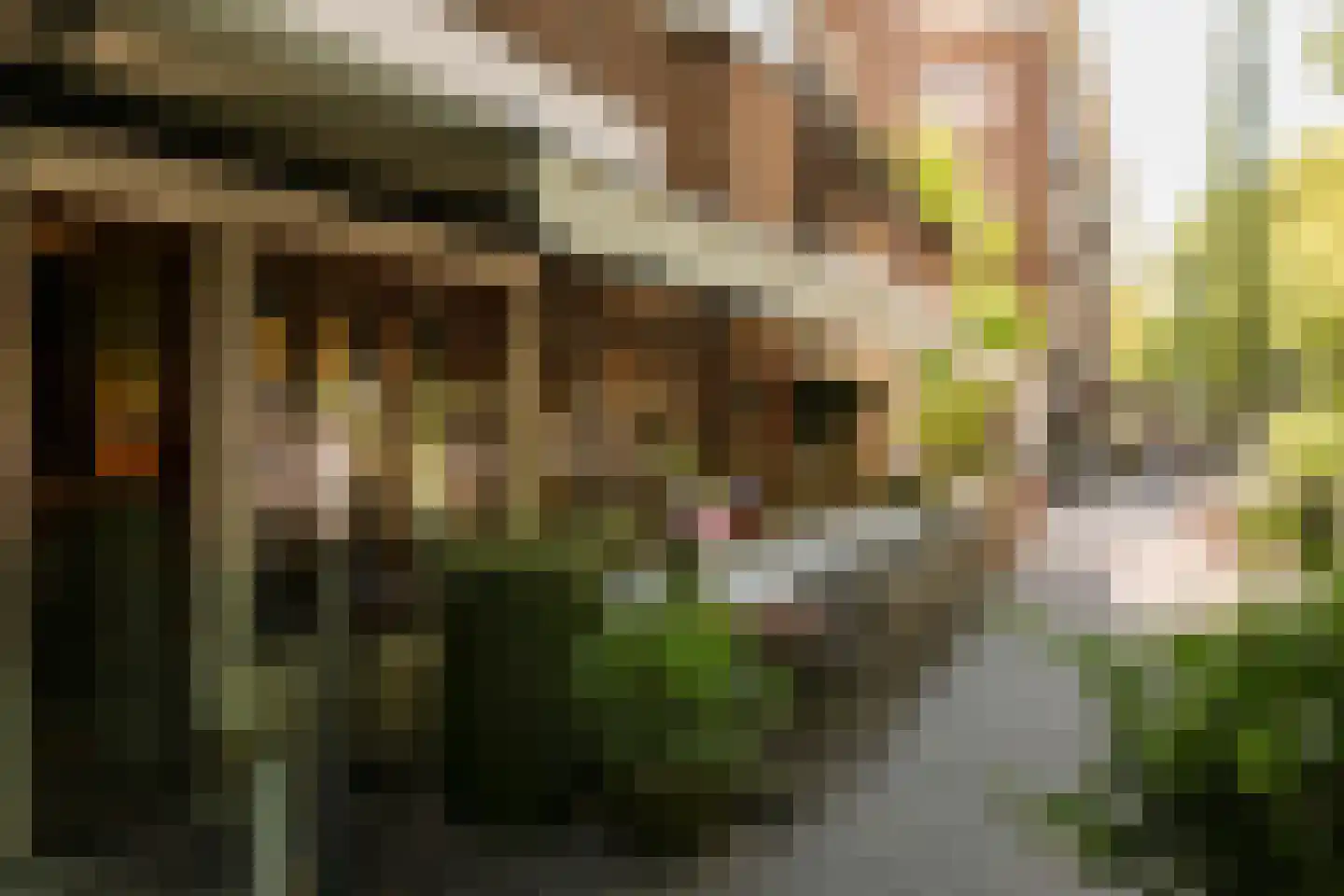 Europaplein 123 3 Amsterdam thumbnail 39