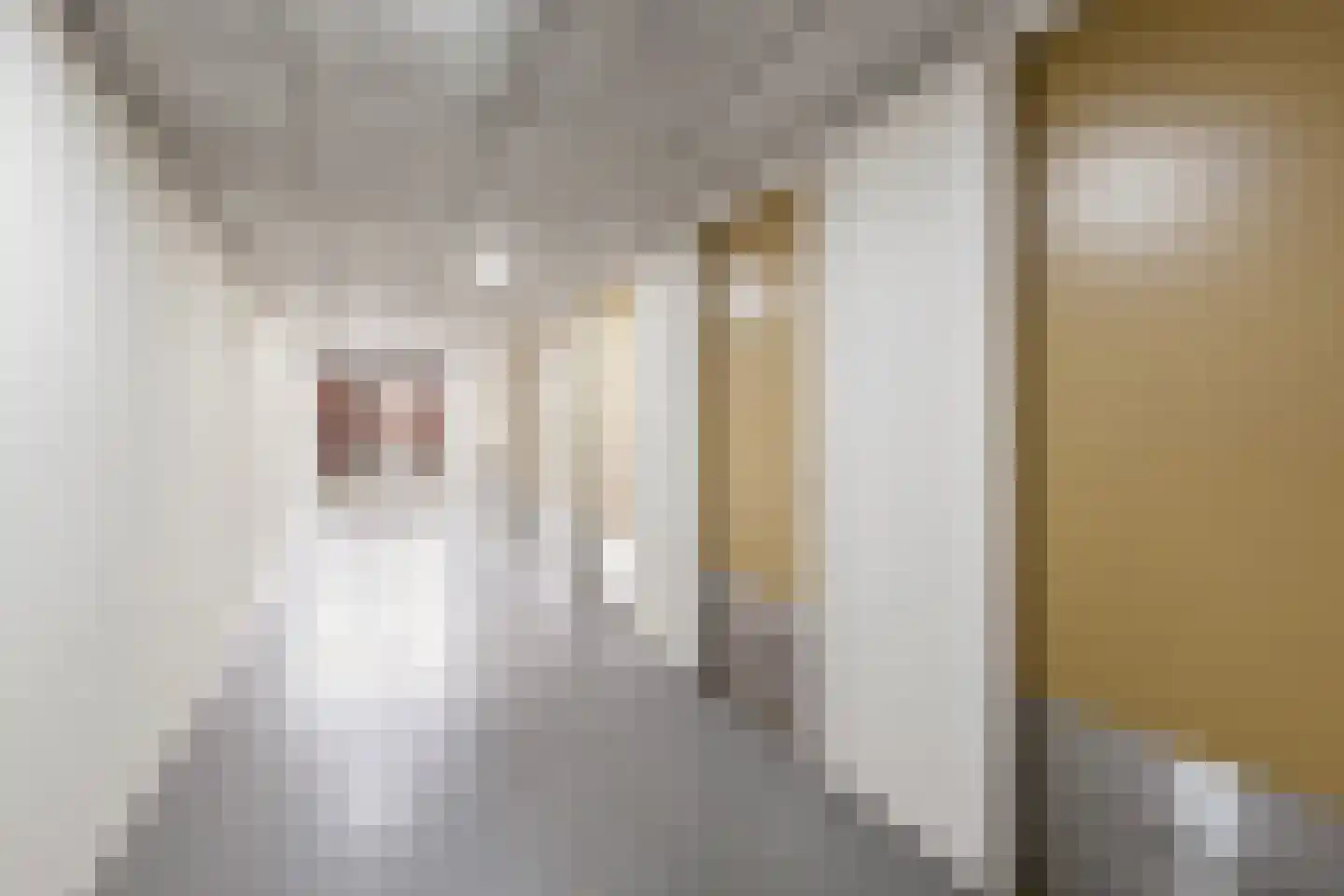 Europaplein 15 Alkmaar thumbnail 17