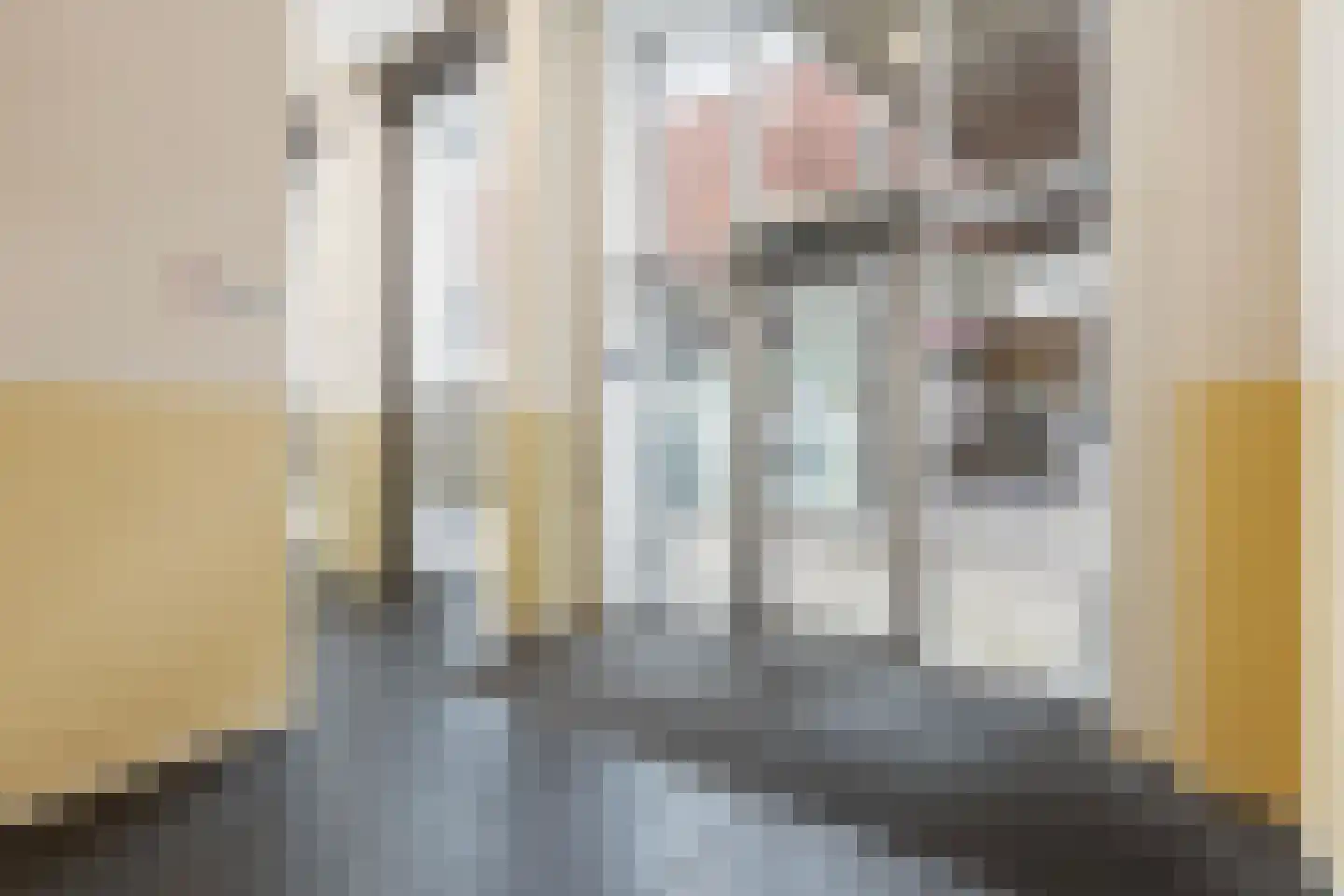Europaplein 15 Alkmaar thumbnail 19