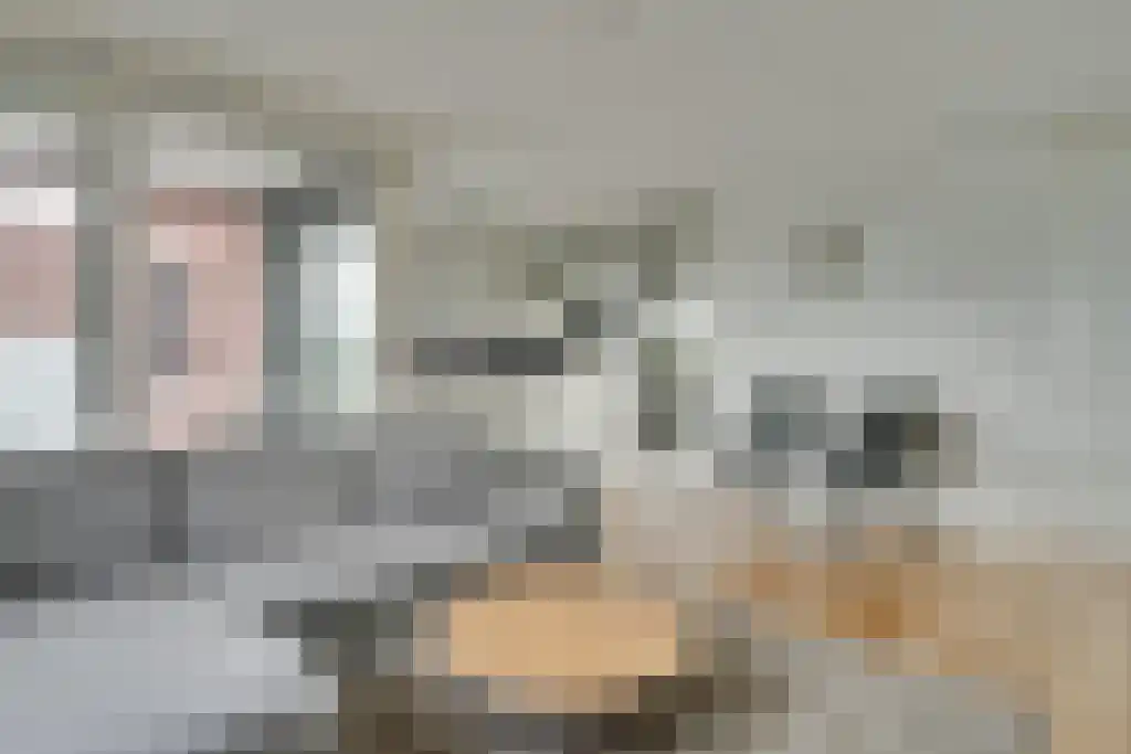 Europaplein 18 Alkmaar thumbnail 8