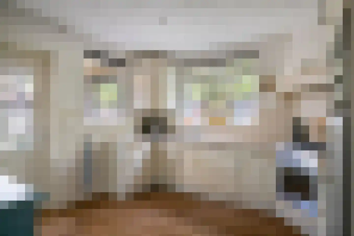 Europaplein 19 Best thumbnail 19
