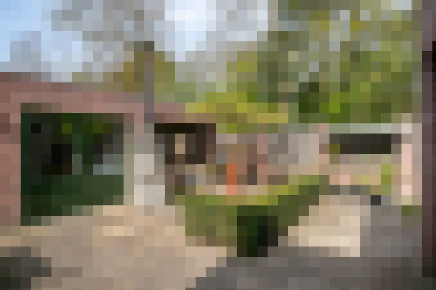Europaplein 19 Best thumbnail 40