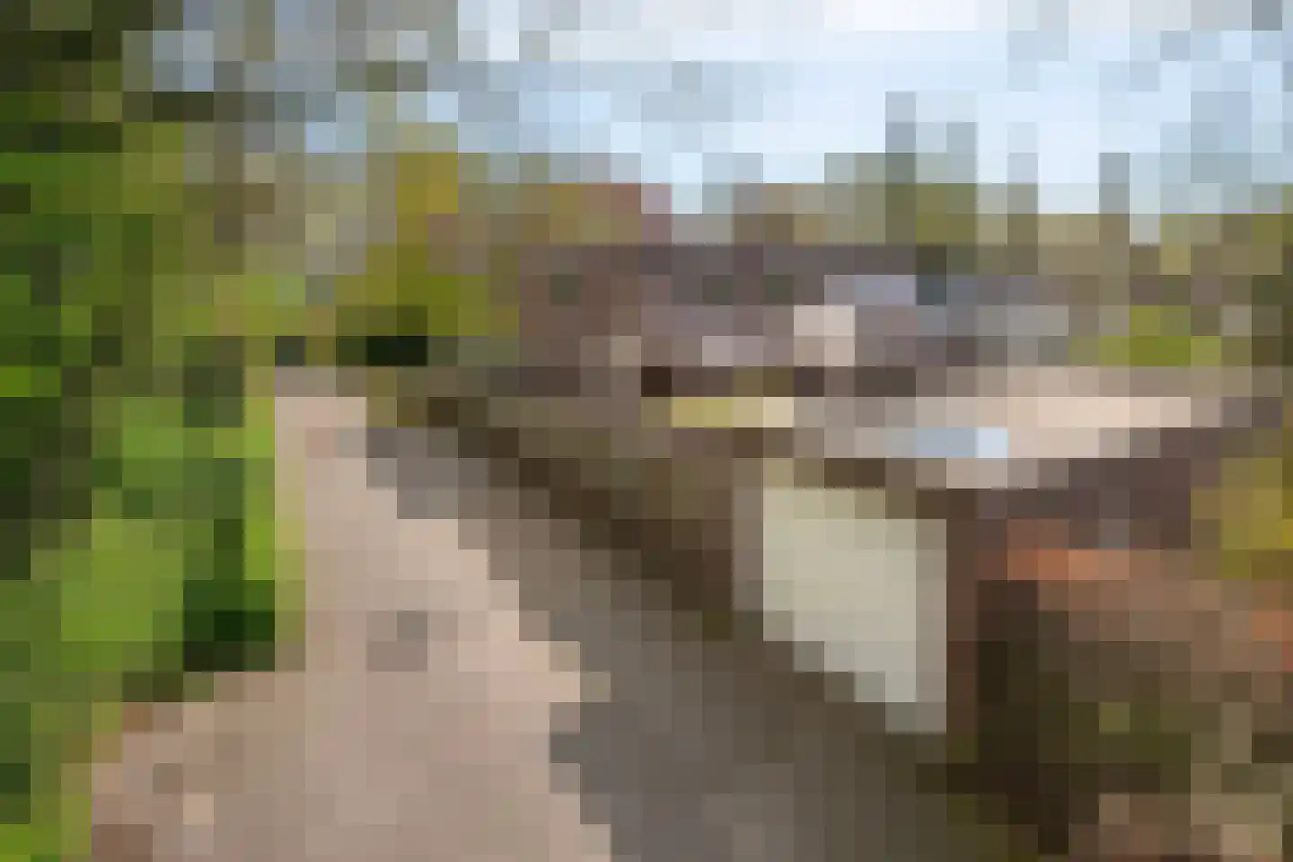 Europaplein 19 Best thumbnail 45